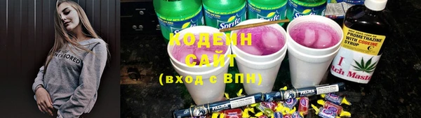 шишки Алексин