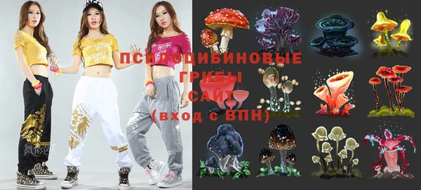 шишки Алексин