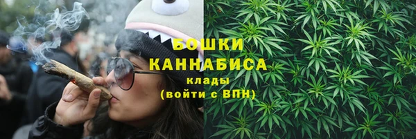 трава Анжеро-Судженск